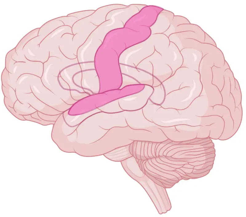 Maintained 'hearing' and spatial awareness 
